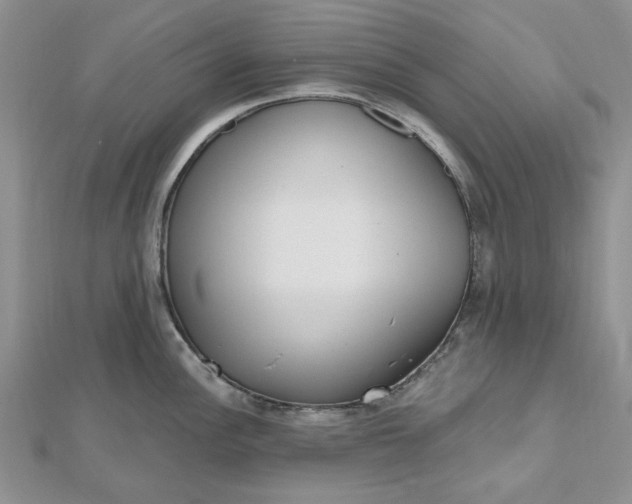 X0000112481148200908311405