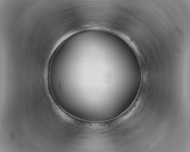 X0000112481149200908311405