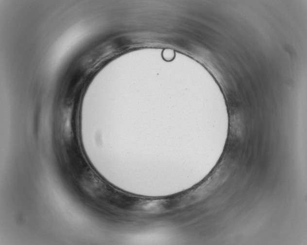 X0000112481150200908311405