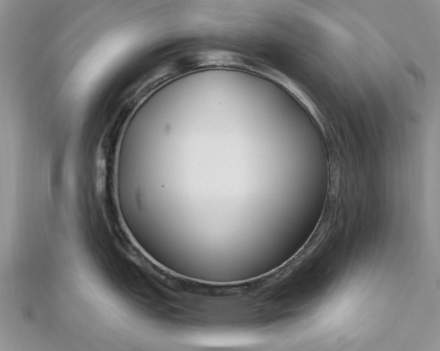 X0000112481151200908311405