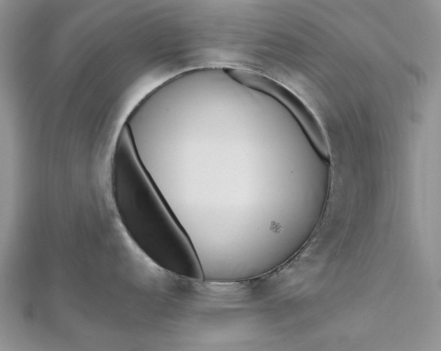 X0000112481152200908311405