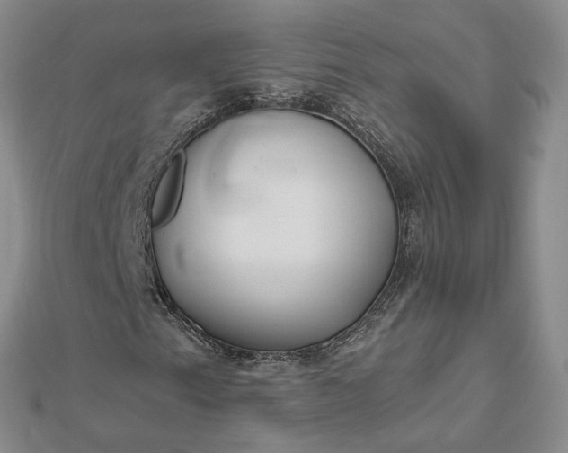 X0000112481153200908311405