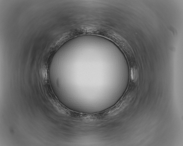 X0000112481155200908311405