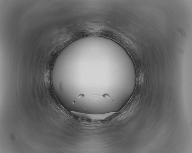 X0000112481156200908311405