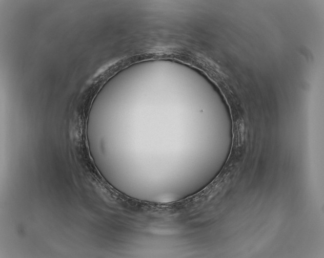 X0000112481158200908311405