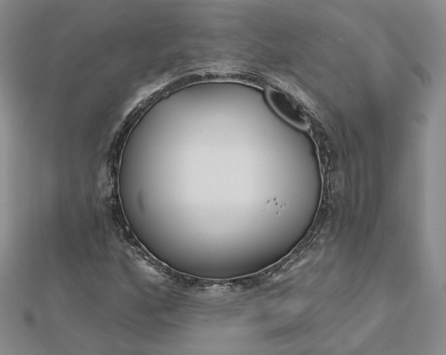 X0000112481160200908311405