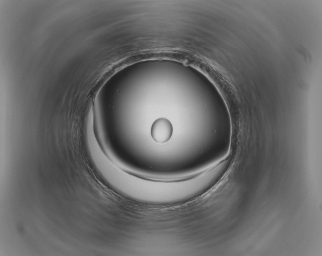 X0000112481161200908311405