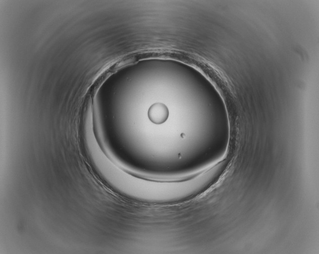 X0000112481162200908311405