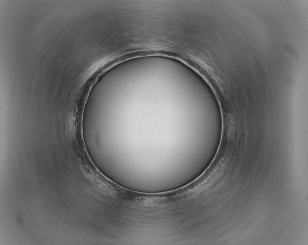 X0000112481163200908311405