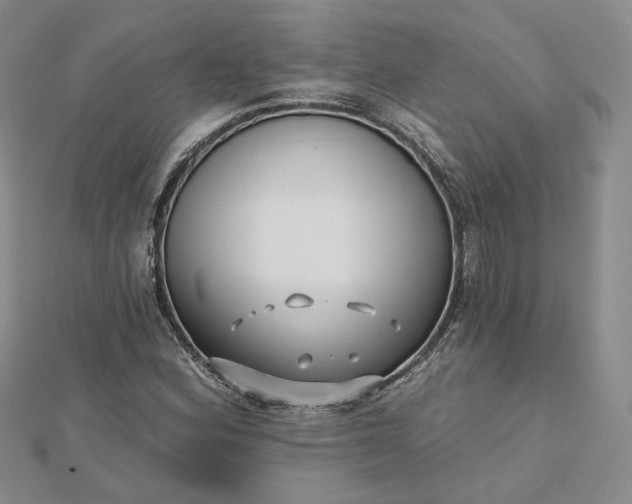 X0000112481164200908311405