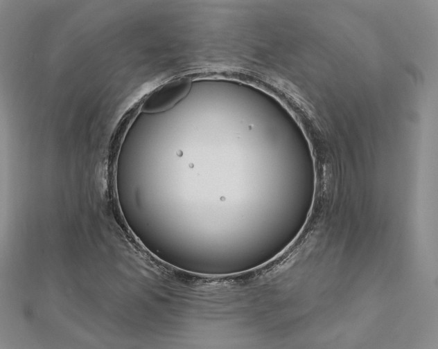 X0000112481165200908311405