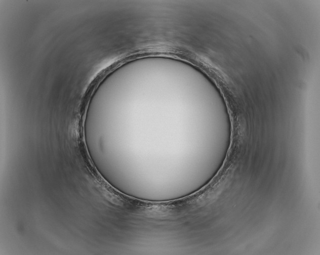 X0000112481166200908311405