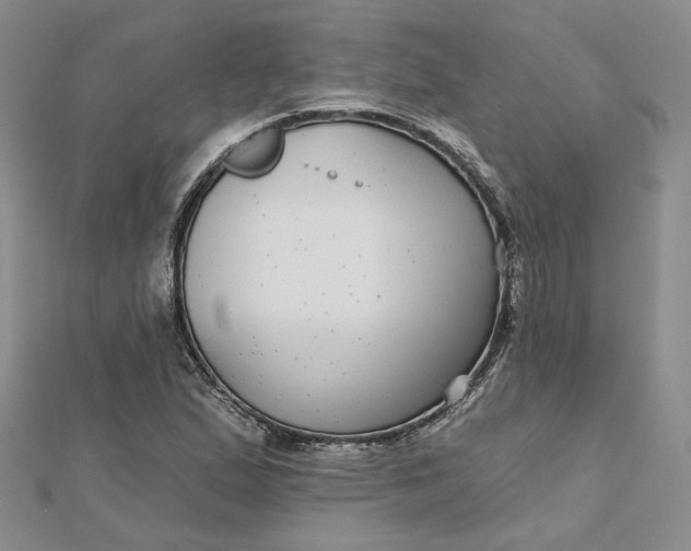 X0000112481167200908311405