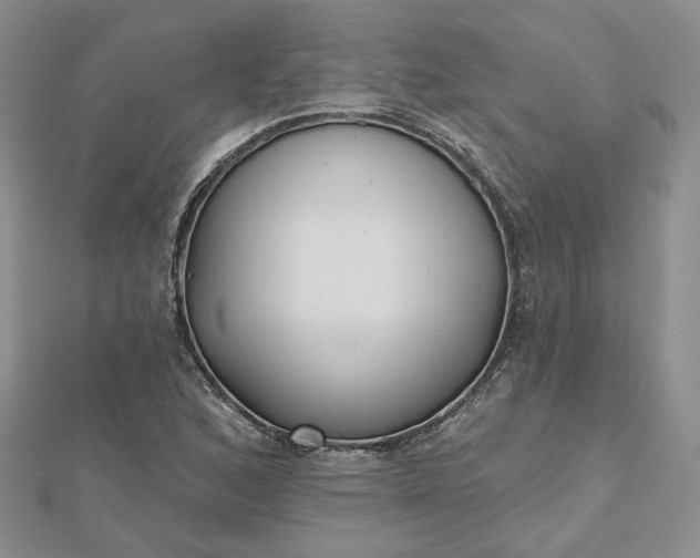 X0000112481168200908311404