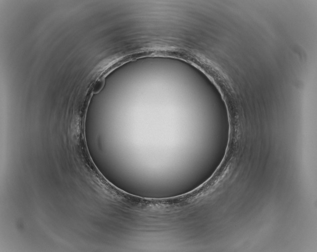 X0000112481169200908311404