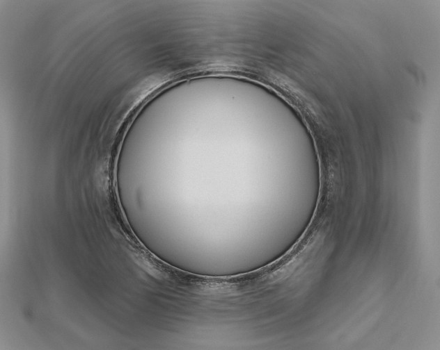 X0000112481170200908311404