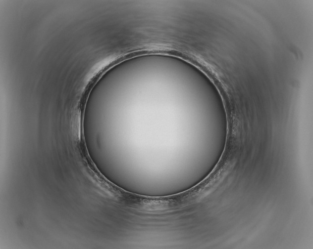 X0000112481171200908311404