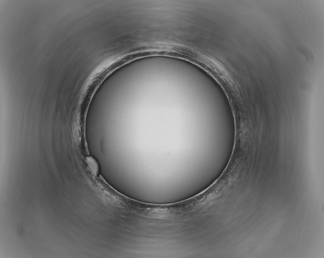 X0000112481172200908311404