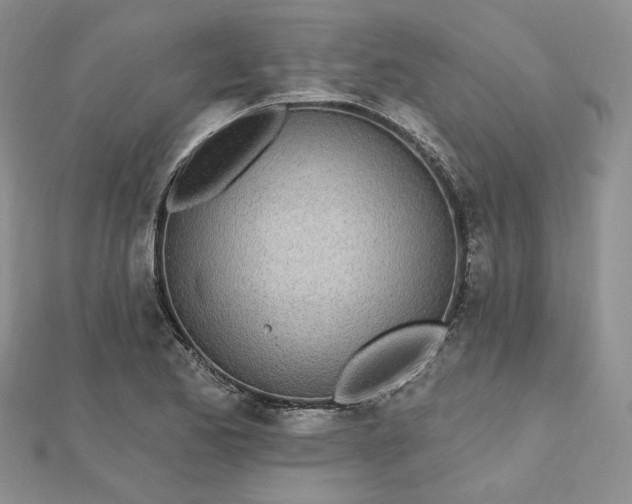 X0000112481173200908311404