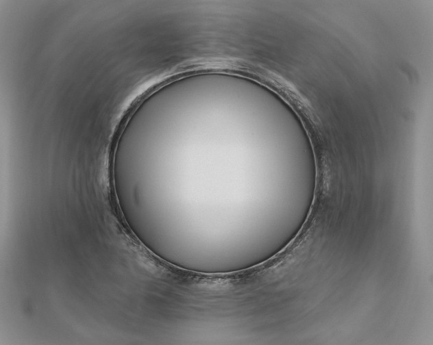 X0000112481174200908311404