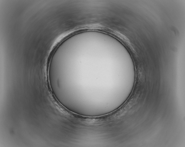 X0000112481176200908311404