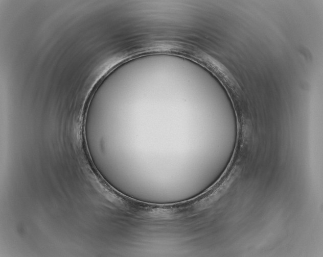 X0000112481178200908311404