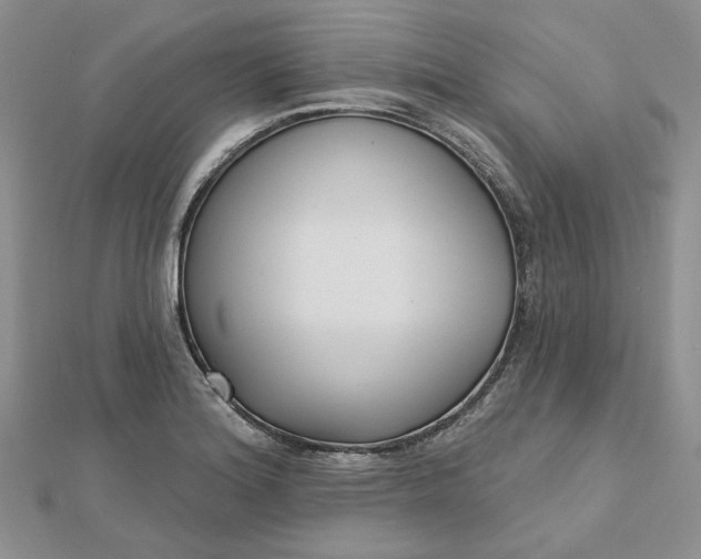 X0000112481180200908311404