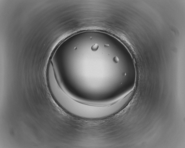 X0000112481181200908311404