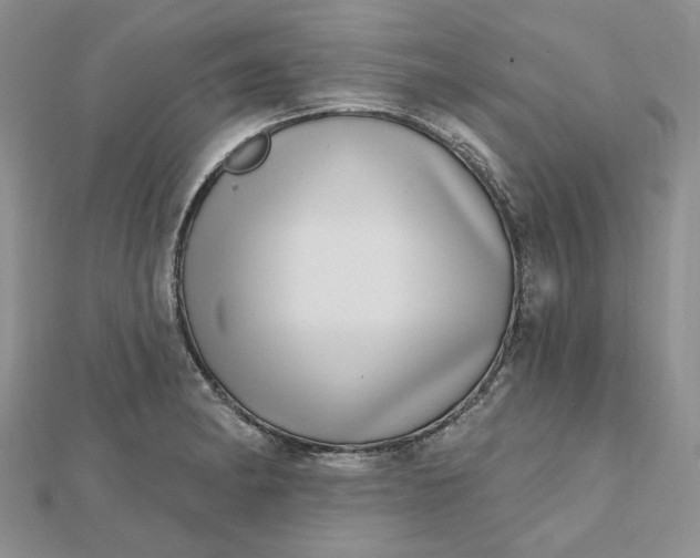 X0000112481182200908311404