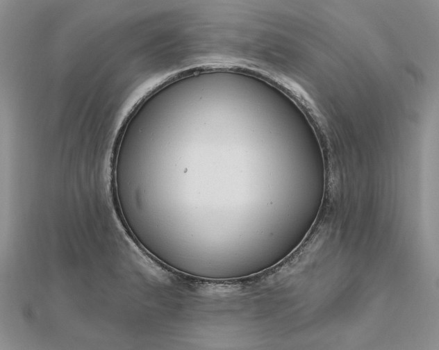 X0000112481183200908311404