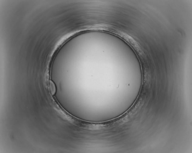 X0000112481184200908311404