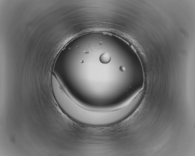 X0000112481185200908311404