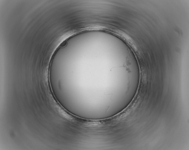 X0000112481186200908311404