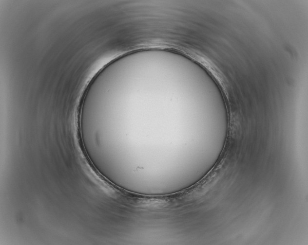 X0000112481187200908311404