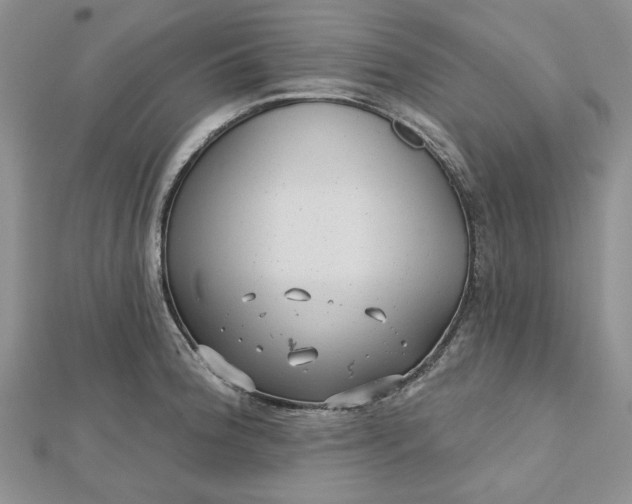 X0000112481188200908311404