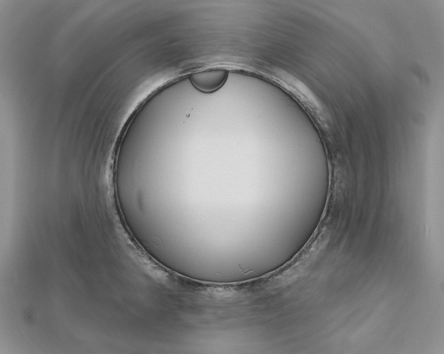 X0000112481190200908311404