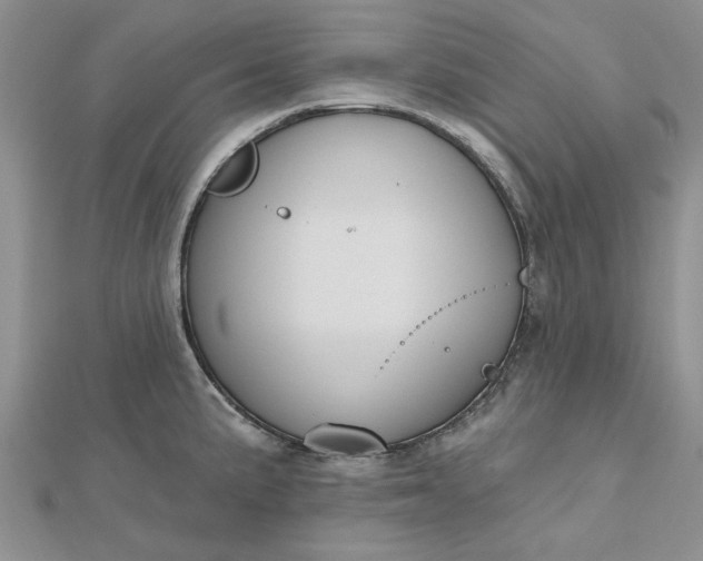 X0000112481191200908311404