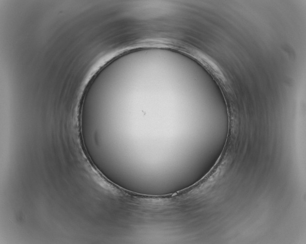 X0000112481192200908311404