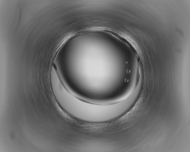 X0000112481193200908311404