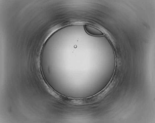 X0000112481194200908311404