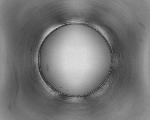 X0000112481195200908311404