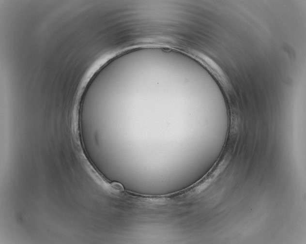 X0000112481196200908311404