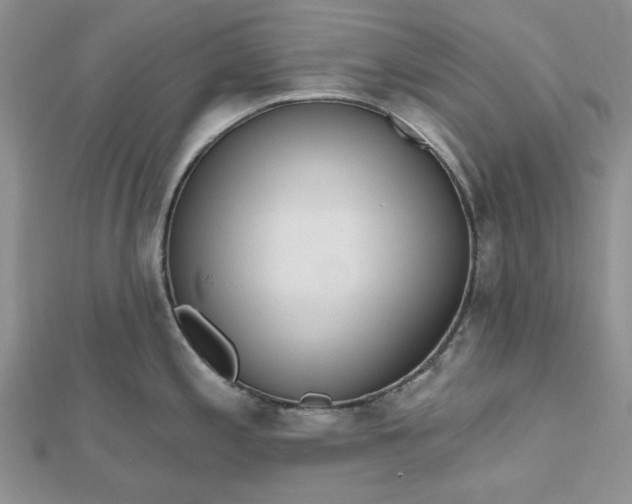 X0000112481197200908311404