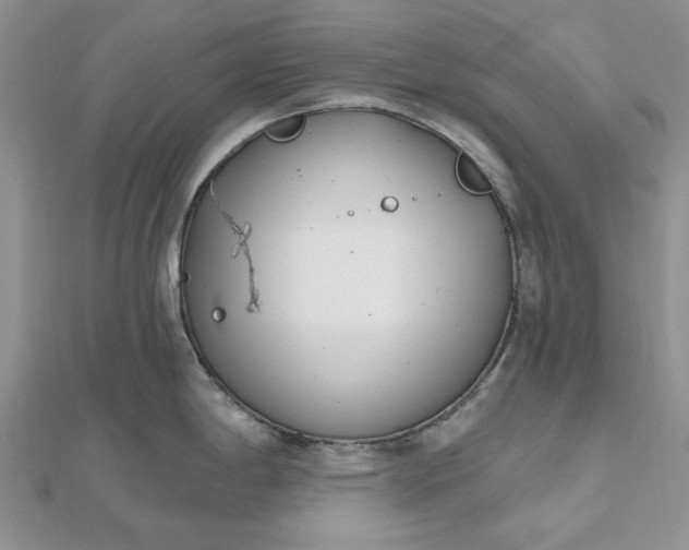 X0000112481198200908311404