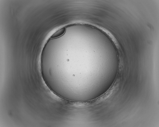 X0000112481199200908311404