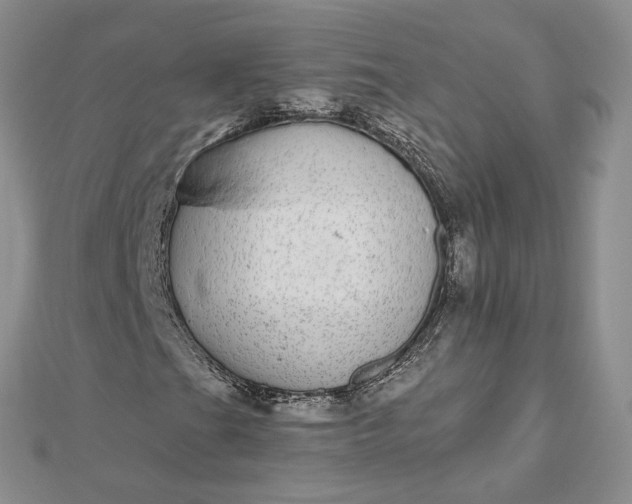 X0000112481201200908311403