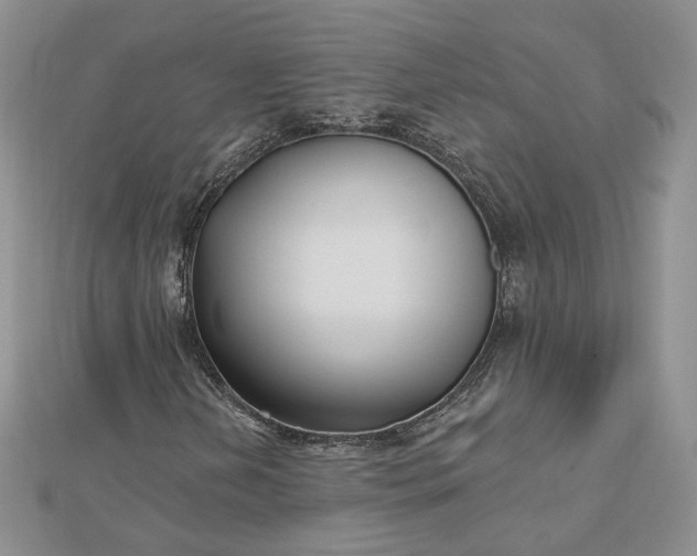 X0000112481202200908311403