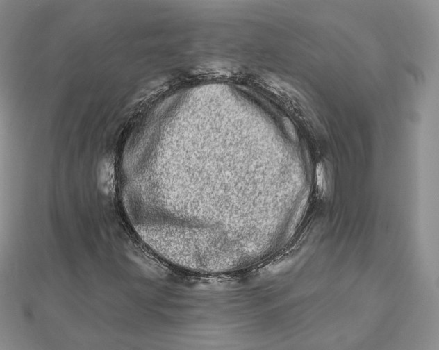 X0000112481203200908311403