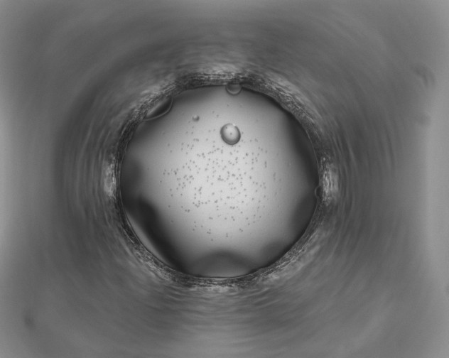 X0000112481204200908311403