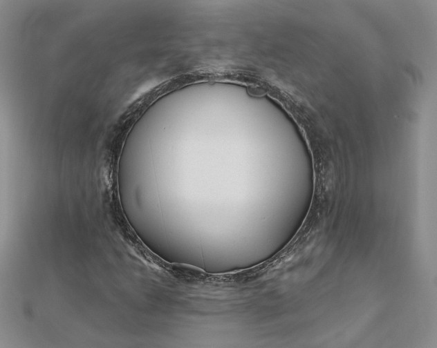 X0000112481206200908311403